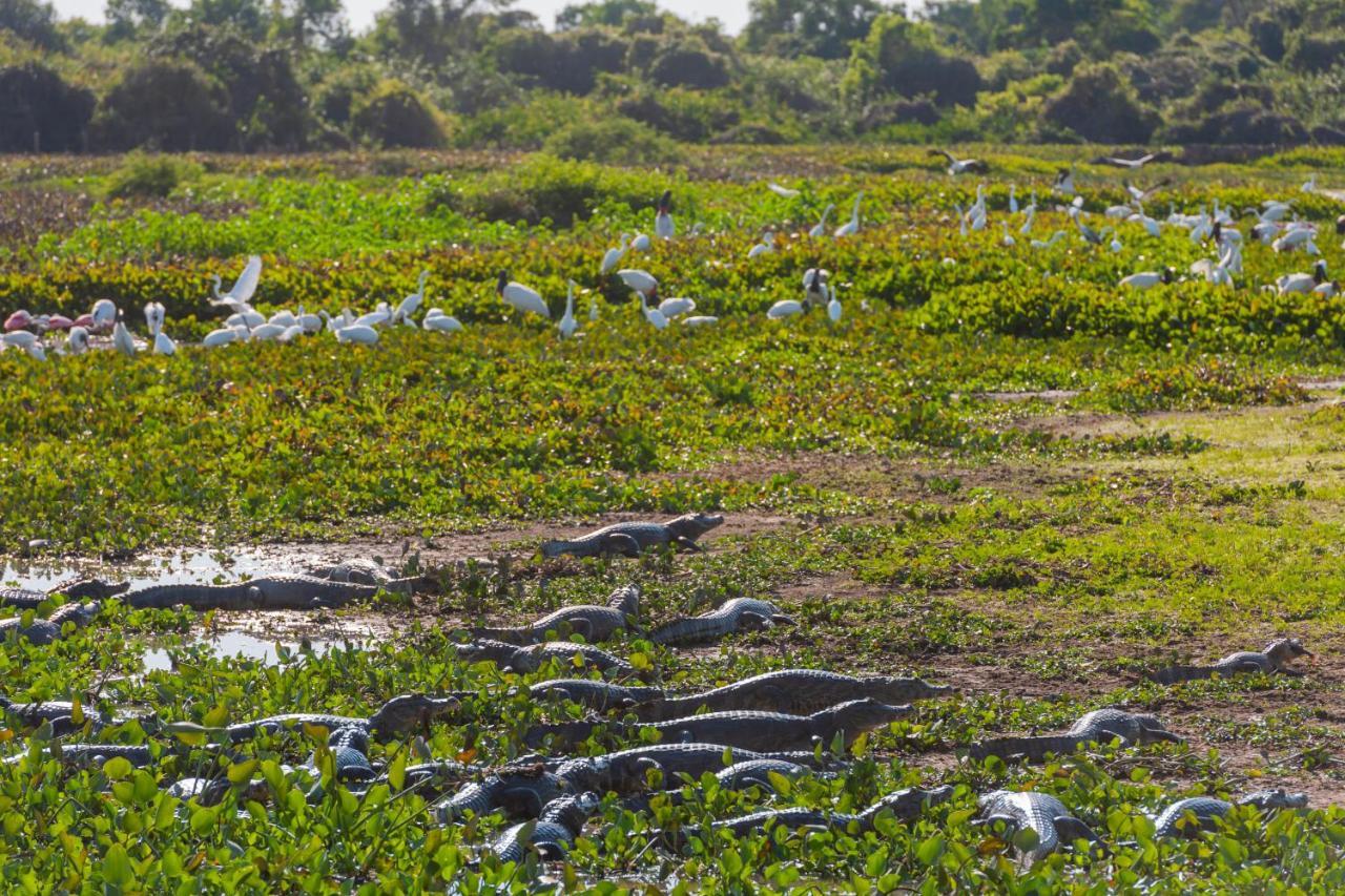 Pousada Rio Claro Pocone Luaran gambar