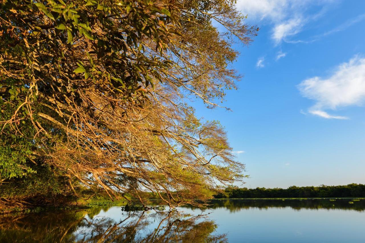 Pousada Rio Claro Pocone Luaran gambar