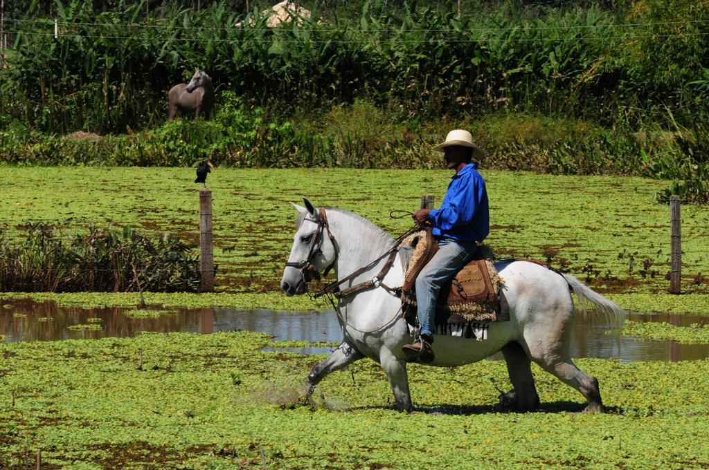 Pousada Rio Claro Pocone Luaran gambar