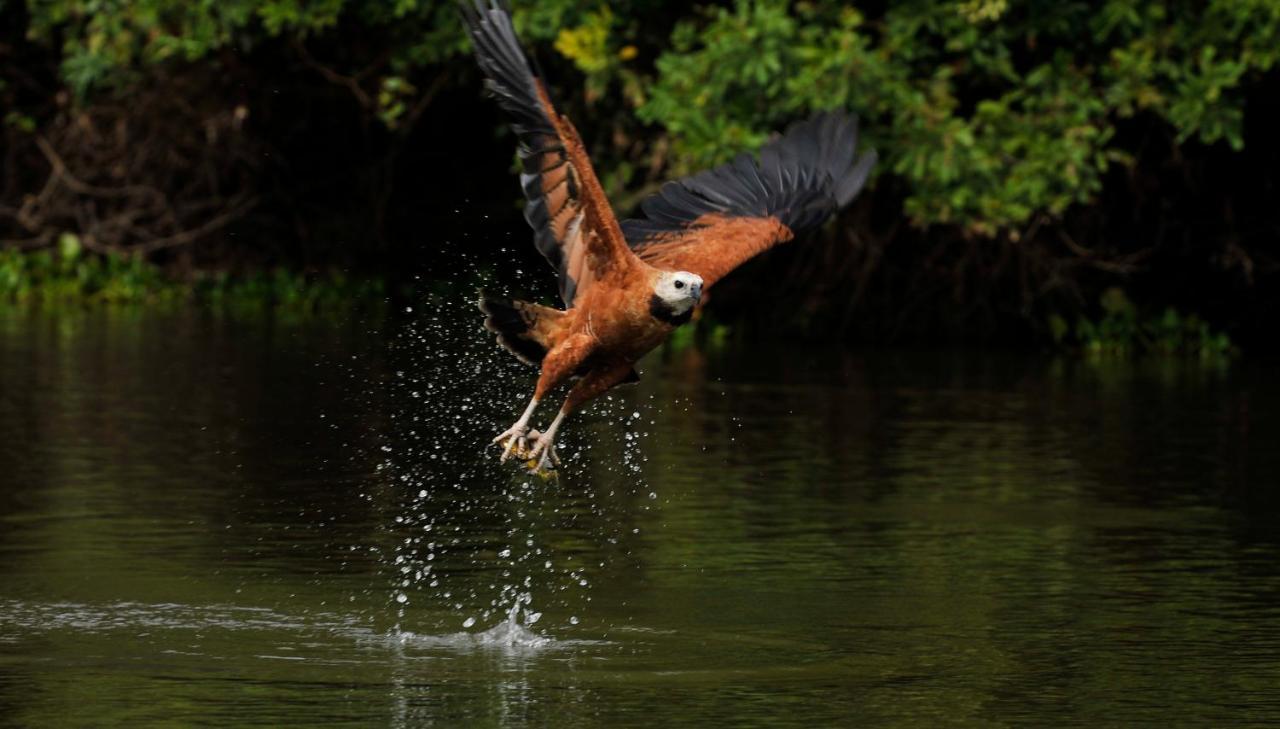 Pousada Rio Claro Pocone Luaran gambar