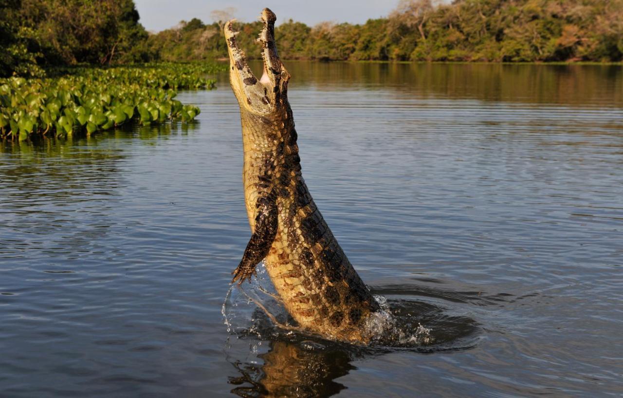 Pousada Rio Claro Pocone Luaran gambar