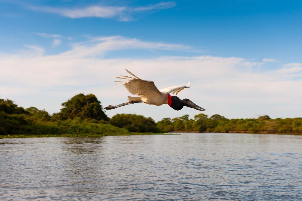 Pousada Rio Claro Pocone Luaran gambar